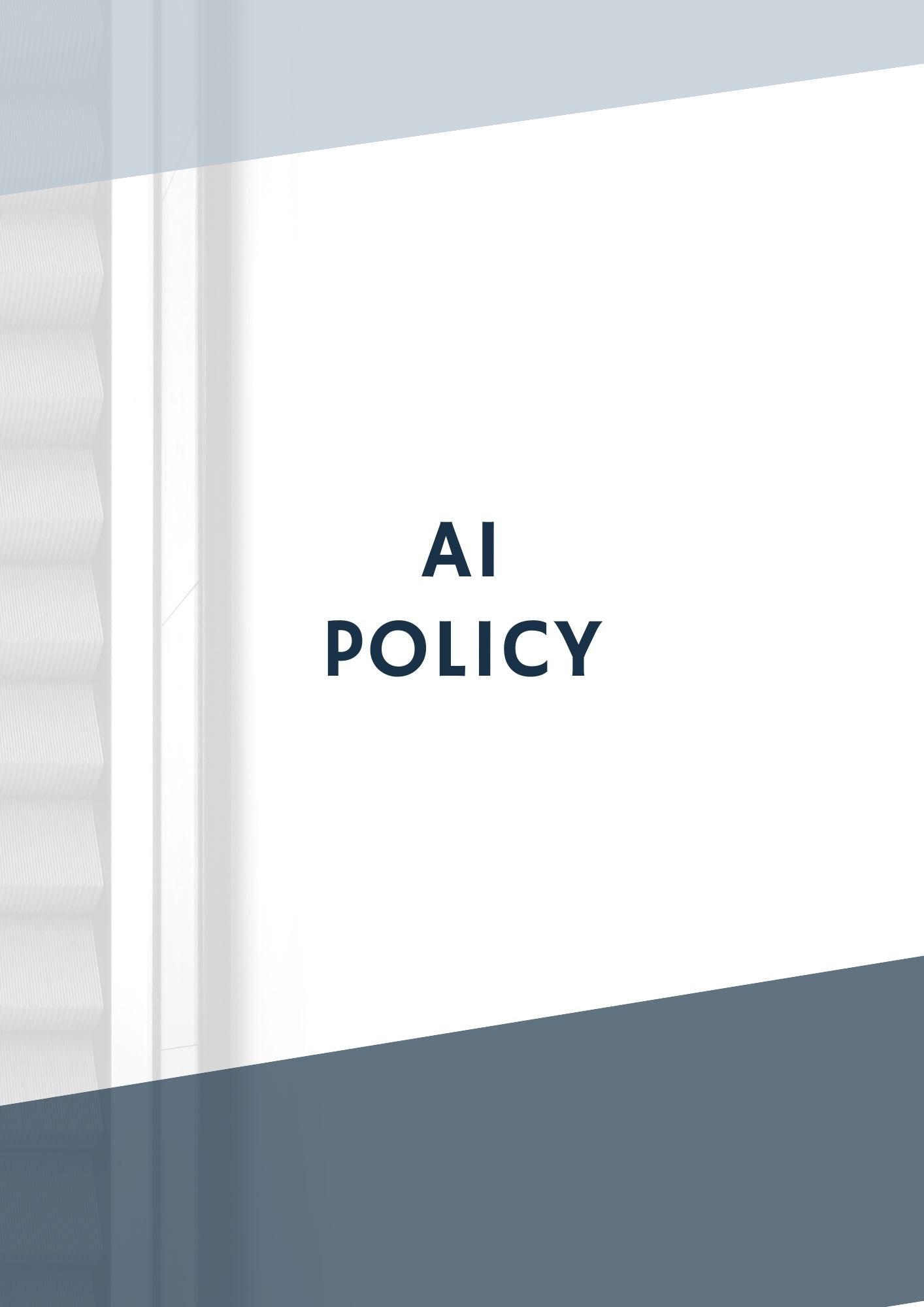AI Policy
