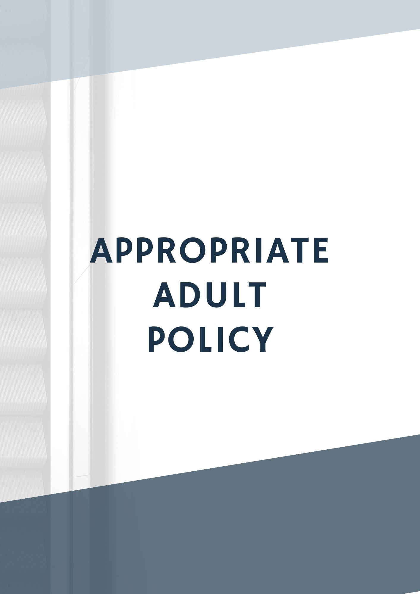 Appropriate Adult Policy